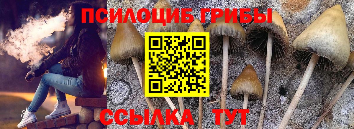 Галлюциногенные грибы MAGIC MUSHROOMS Ногинск