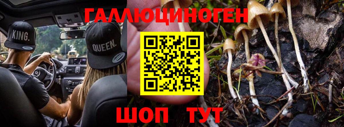 Галлюциногенные грибы Cubensis  цена наркотик  Вход с VPN  Ногинск  Галлюциногенные грибы мицелий 
